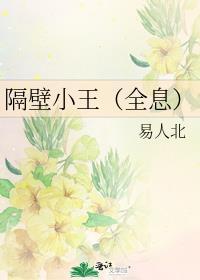 隔壁小王（全息）